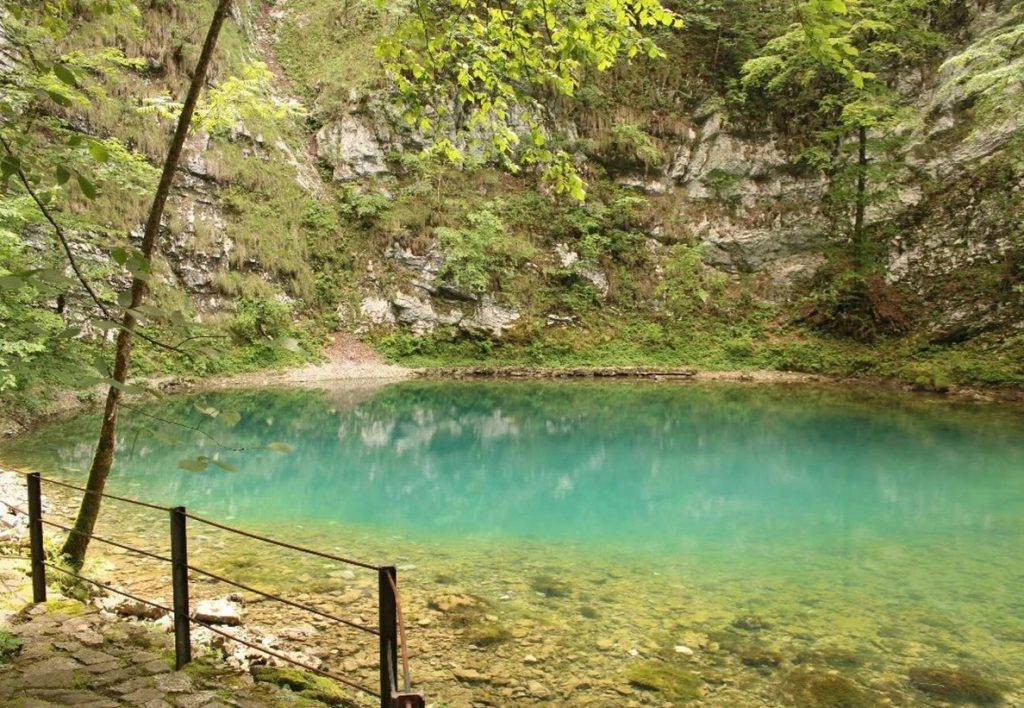 Test – Emerald Forest Spring