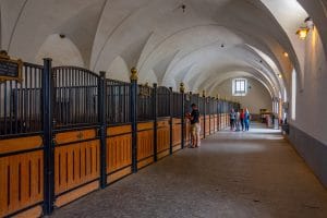 Interior of the historic Lipizzan horse stables at Lipica Stud Farm