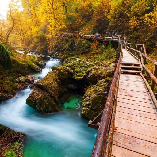 Vintgar Gorge wooden walkway above the turquoise Radovna River in Slovenia