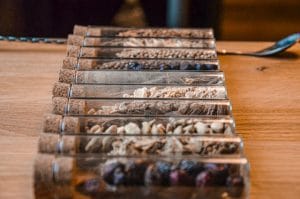 Corked glass tubes filled with dried berries, seeds and root pieces, lined up side by side on a wooden table.