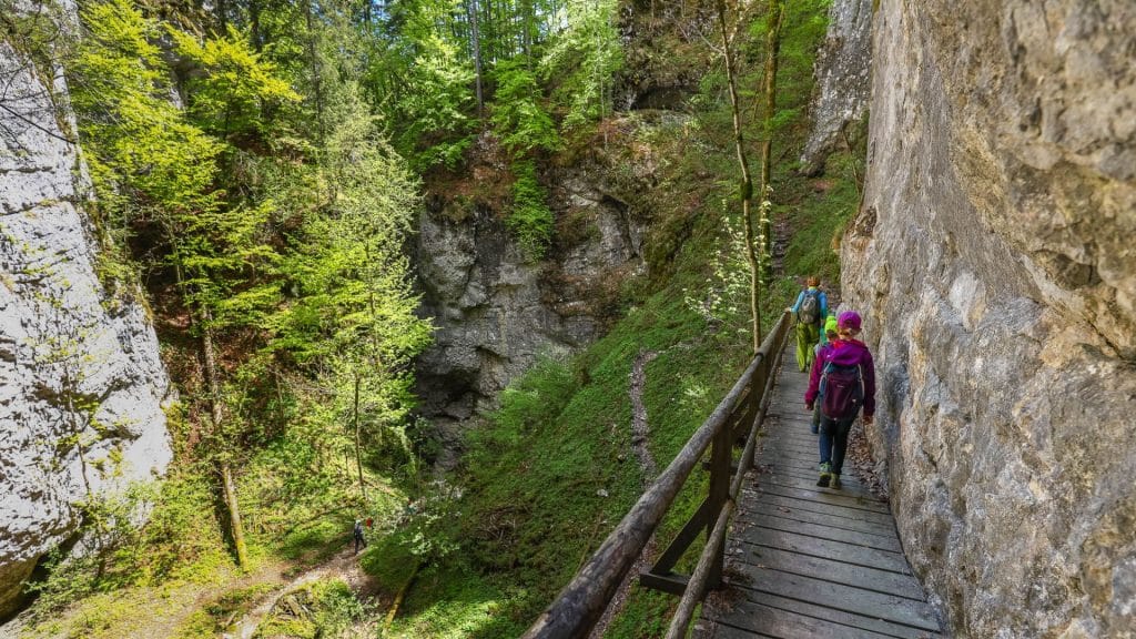 Walkers on a timber gallery walkway fixed to the rock wall above the floor of Pokljuka Gorge, Slovenia.