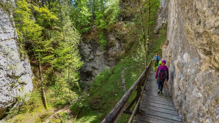 Walkers on a timber gallery walkway fixed to the rock wall above the floor of Pokljuka Gorge, Slovenia.