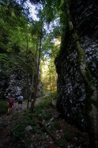 Walkers on the rocky floor of a narrow, shaded section of Pokljuka Gorge, below a steep mossy limestone wall.