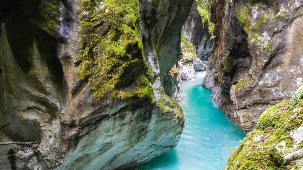 Turquoise water winds between moss-covered limestone walls in Tolmin Gorges.