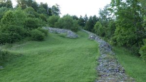Preserved Roman walls running through a green summer clearing at Ad Pirum.
