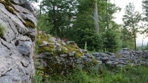 Moss-covered Roman wall remains among summer woodland at Ad Pirum.