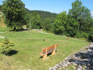Grassy spring meadow with benches beside low Roman wall remains at Ad Pirum.