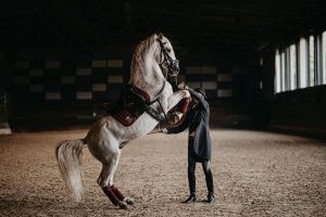A white horse rises on its hind legs beside a handler in a dark indoor arena.
