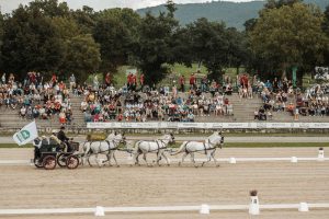 A six-horse carriage team of white horses crosses an outdoor arena before spectators.
