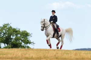 A rider in a dark hat rides a white horse across a grassy field.