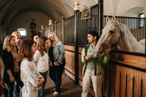 Visitors stand beside a horse's stall in a vaulted stable corridor.
