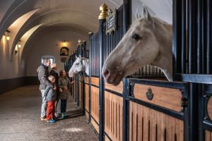 Two adults and two children stand by a row of stalls in a vaulted stable while two white horses look out over their doors.